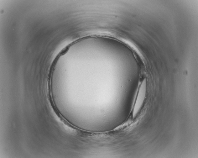 X0000070390999200606301942