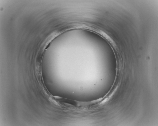 X0000070391001200606301942