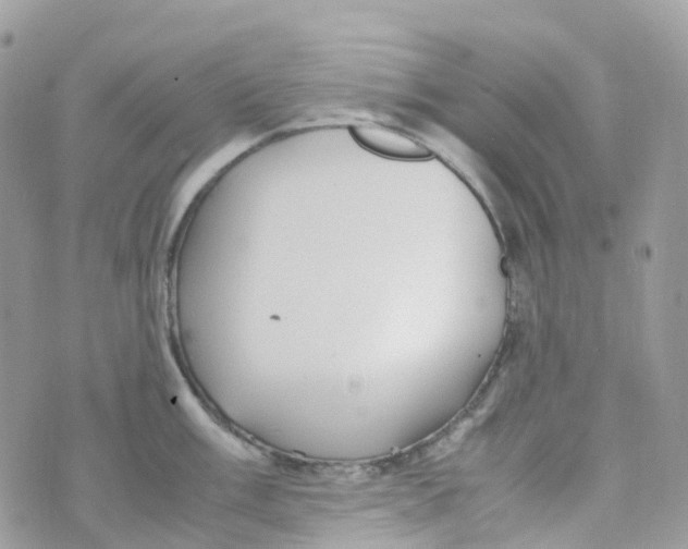 X0000070391003200606301942