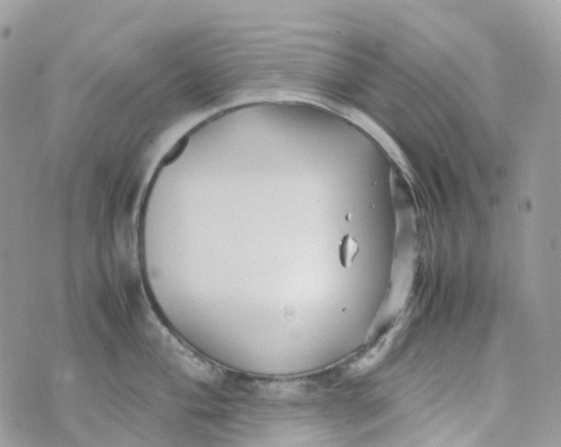 X0000070391004200606301941