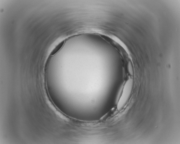 X0000070391005200606301941