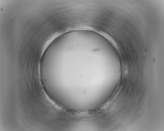 X0000070391006200606301941