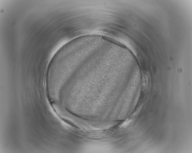 X0000070391007200606301941