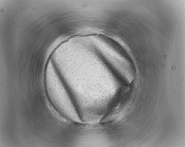 X0000070391008200606301941