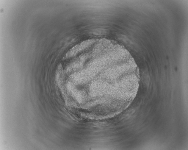 X0000070391009200606301941