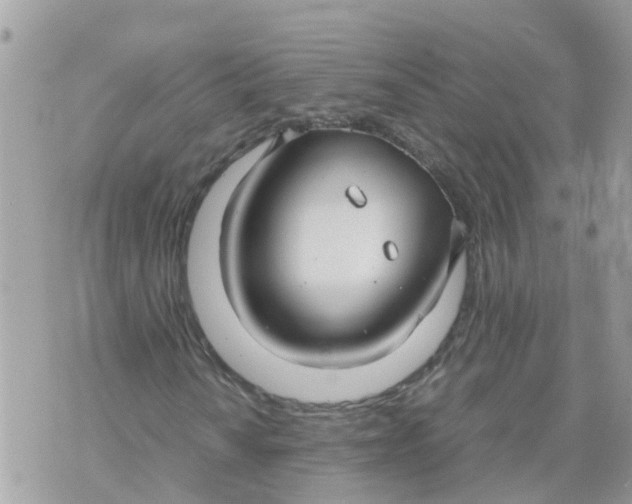 X0000070391010200606301941