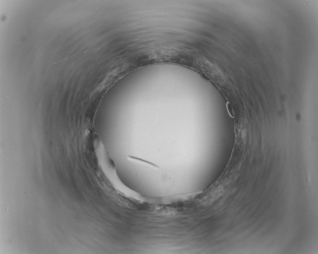 X0000070391012200606301941