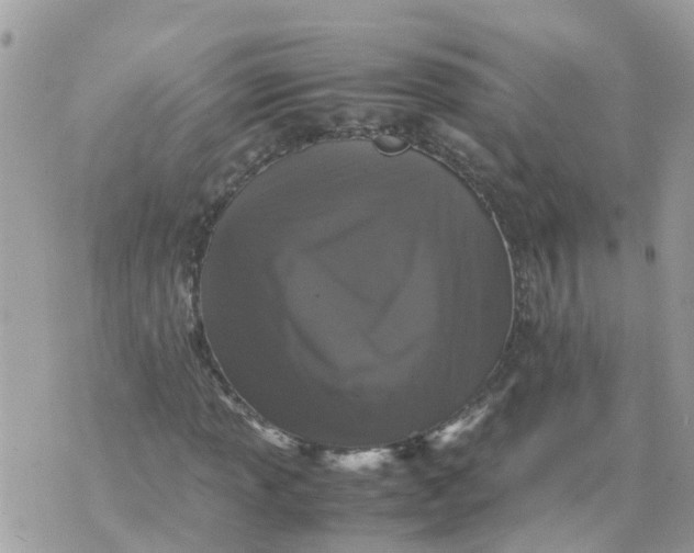 X0000070391013200606301941