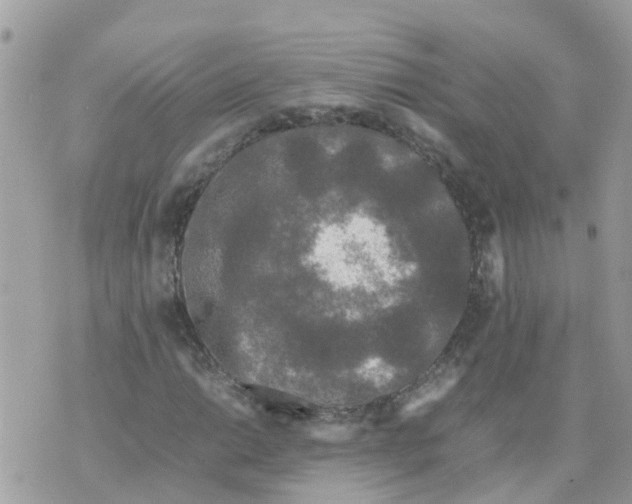 X0000070391014200606301941