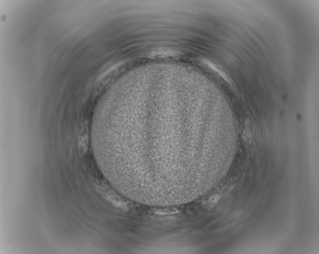 X0000070391015200606301941