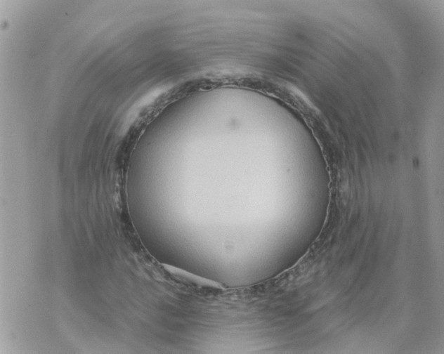 X0000070391016200606301941