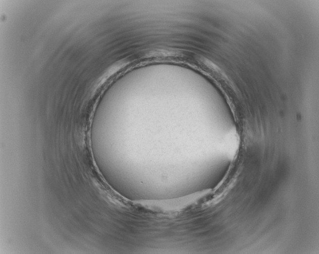 X0000070391017200606301941