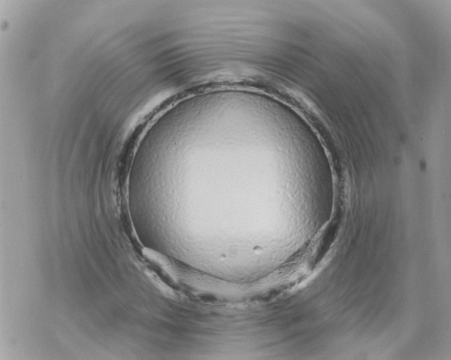 X0000070391018200606301941