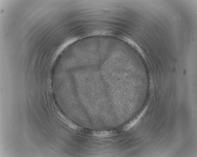 X0000070391019200606301941