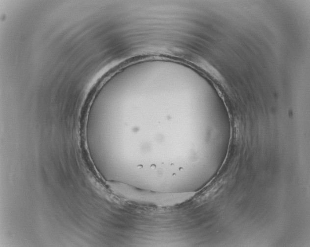 X0000070391020200606301941