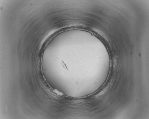 X0000070391021200606301941