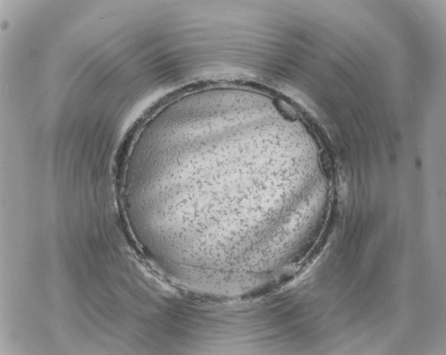 X0000070391022200606301941