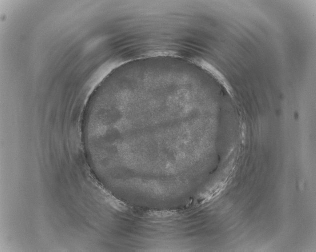 X0000070391023200606301941