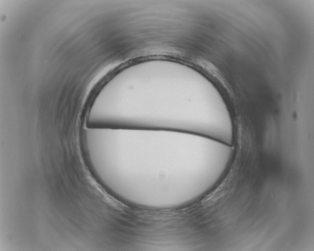 X0000070391024200606301941