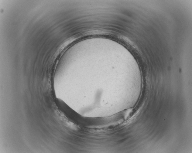 X0000070391025200606301941