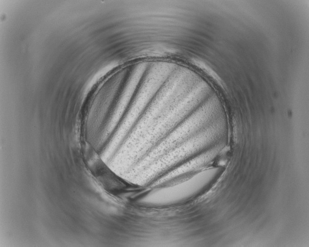 X0000070391026200606301941