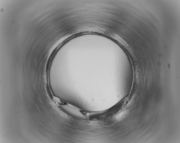 X0000070391028200606301941