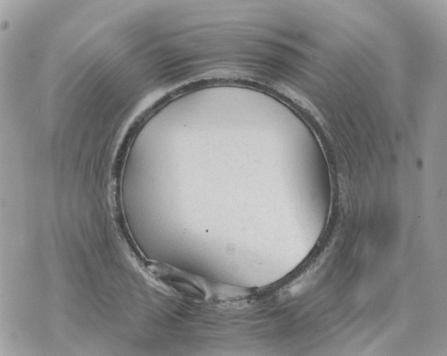 X0000070391029200606301941