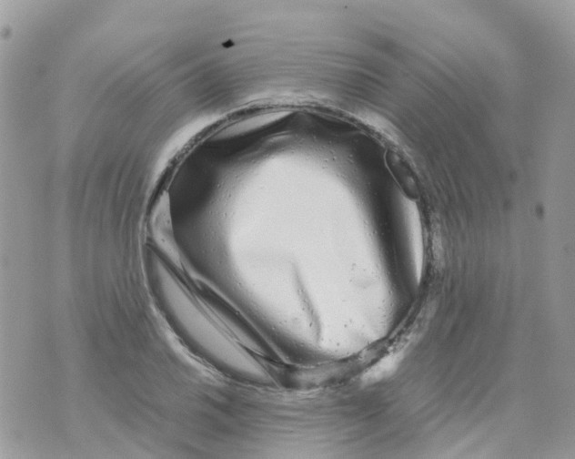 X0000070391030200606301941