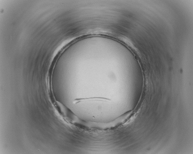 X0000070391032200606301941