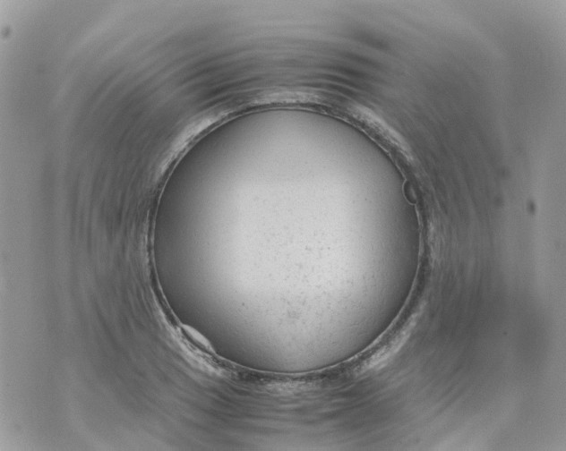 X0000070391033200606301941