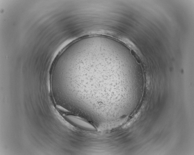 X0000070391036200606301941