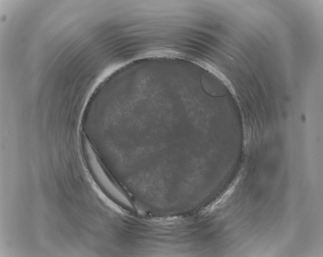 X0000070391037200606301941