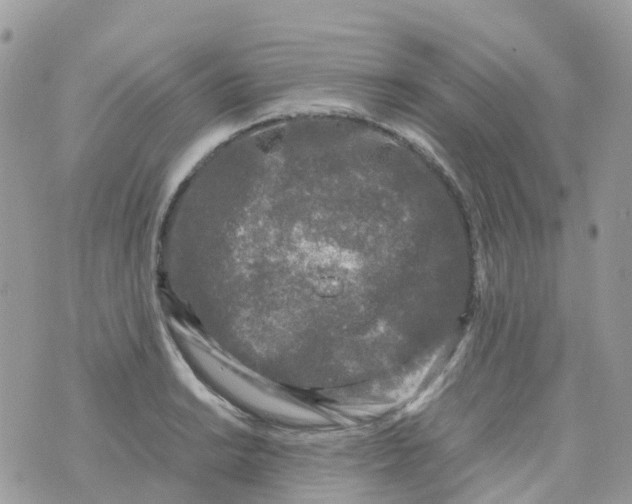 X0000070391038200606301941