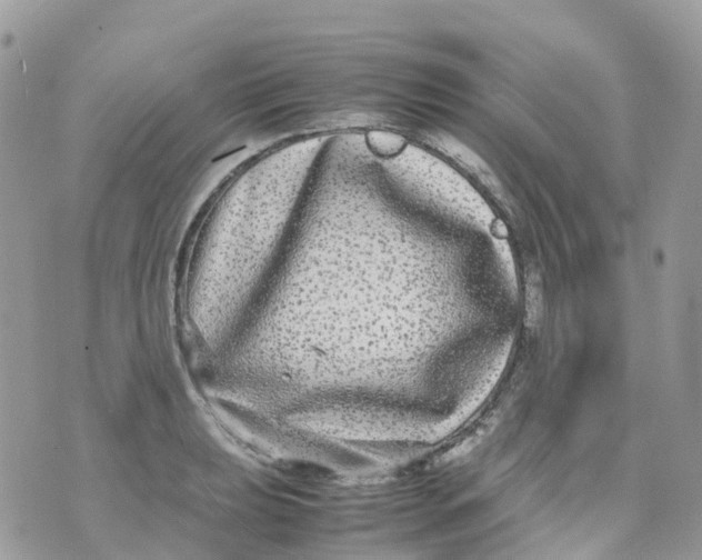 X0000070391039200606301941