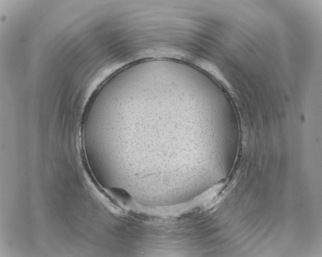 X0000070391040200606301941