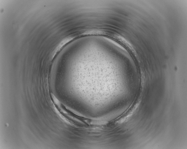 X0000070391041200606301941