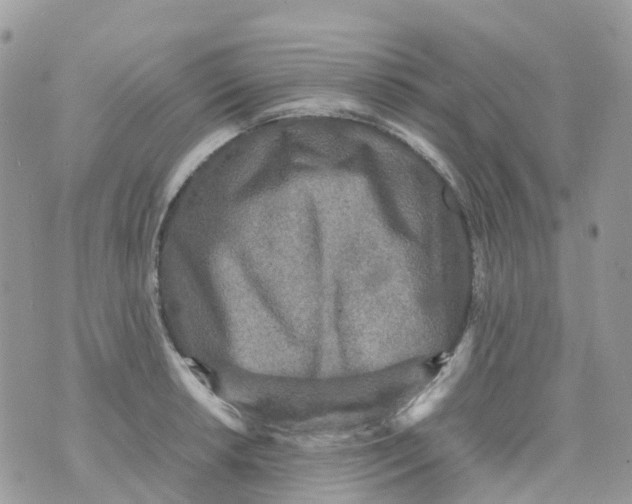 X0000070391042200606301941