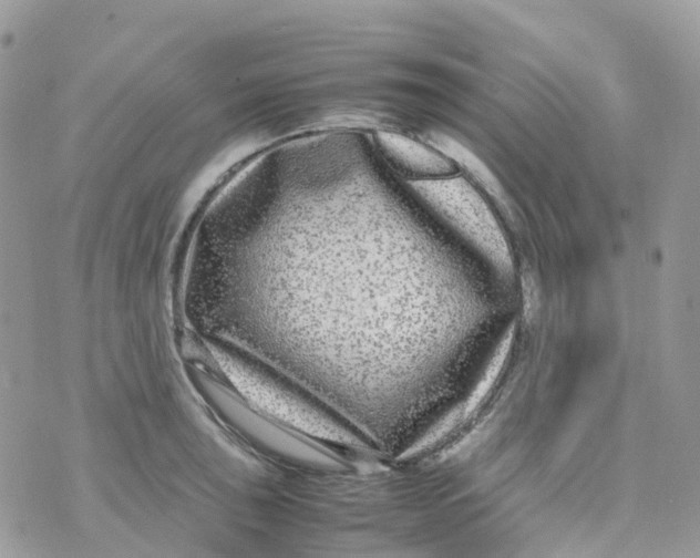 X0000070391043200606301941