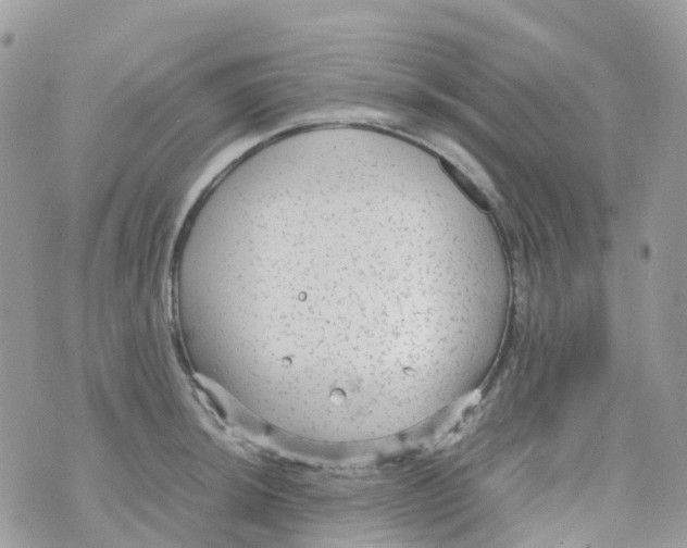 X0000070391044200606301941