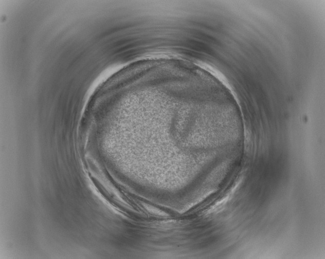 X0000070391045200606301941