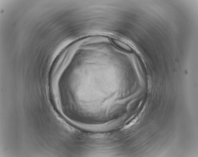 X0000070391048200606301941