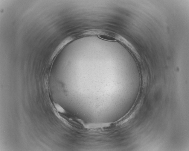 X0000070391049200606301941