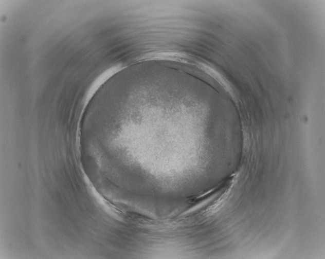 X0000070391050200606301941