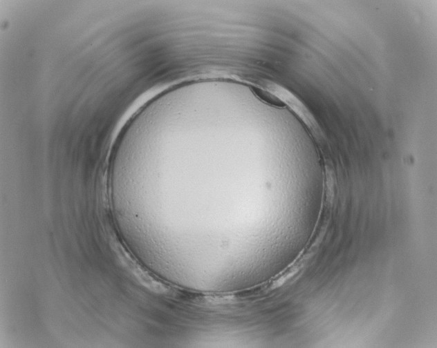 X0000070391052200606301941