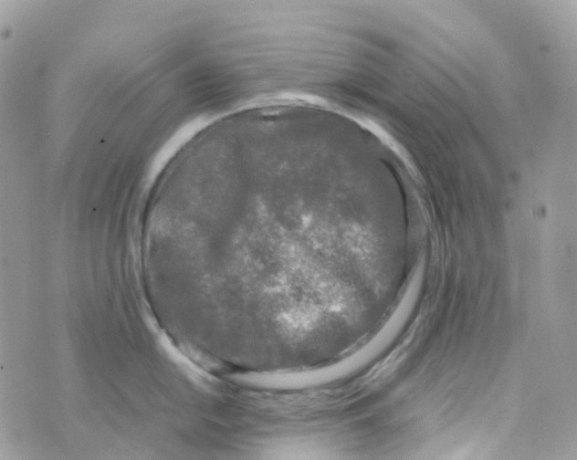 X0000070391054200606301941