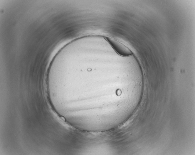 X0000070391056200606301941