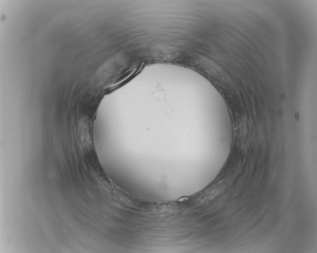 X0000070391058200606301941