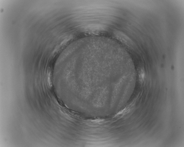 X0000070391060200606301941