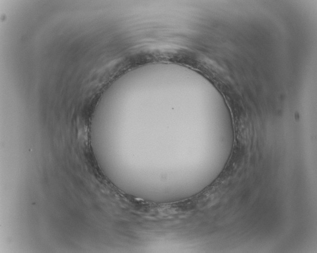 X0000070391061200606301941