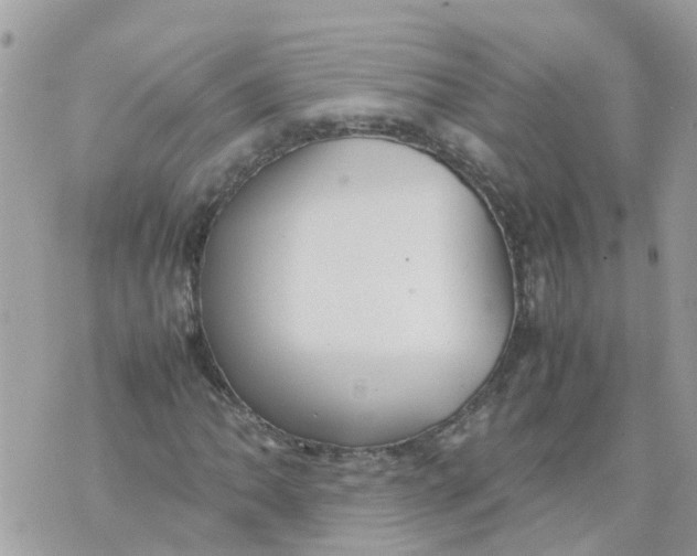 X0000070391062200606301941